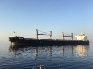 M/V ELBABE
