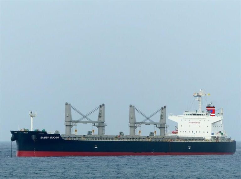Draftzilla Fleet - Niovis Shipping