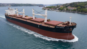 M/V YAYA GOOSE